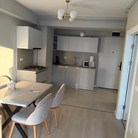 Solid House Perla
